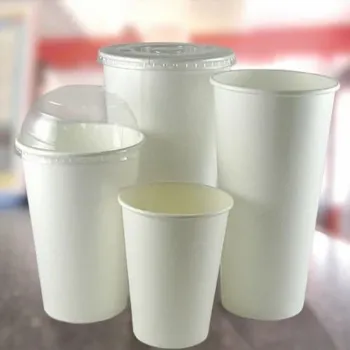   Plain Paper Cup