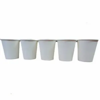   Plain Paper Cup 