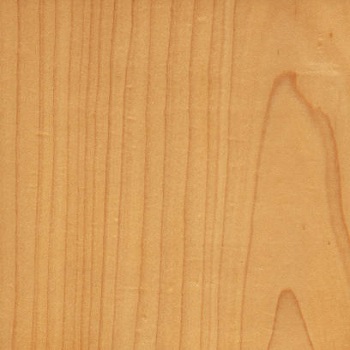 Non Polished Film Faced Plywood