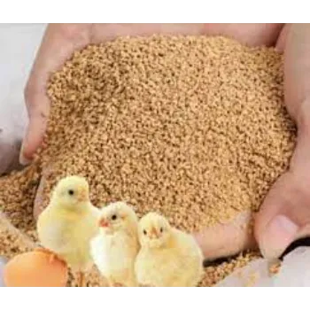 Best Quality Poultry Feed