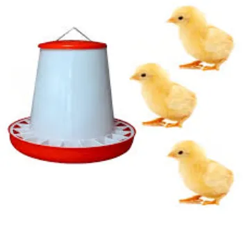 Indian Poultry Feeder