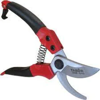 Pruning Shears