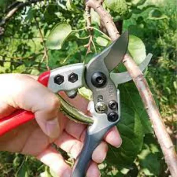 Agriculture Pruning Shears