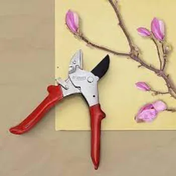  Pruning Shears