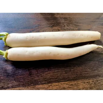 Fresh Radish