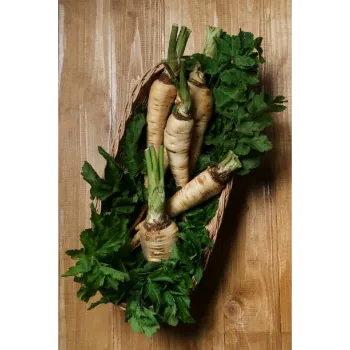 Natural  Radish