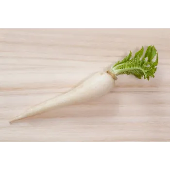 Organic  Radish