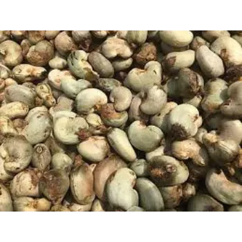 Natural Raw Cashews Nuts