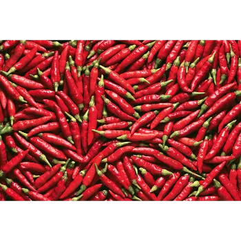 Dried Red Chilli