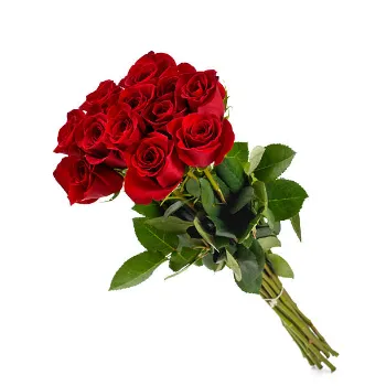 Red Rose