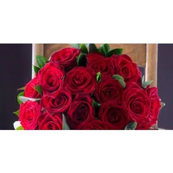 fresh Red Rose Flower
