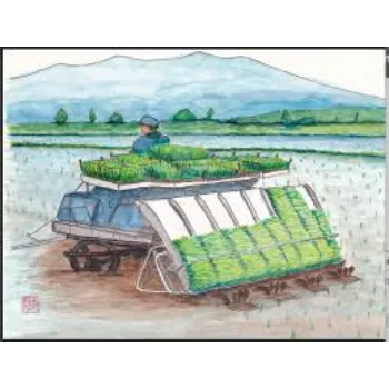 Agriculture Best Quality    Rice Transplanter