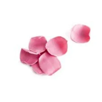 Fresh Rose Petal