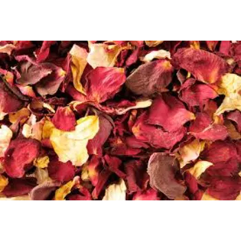 Dry Rose Leaves