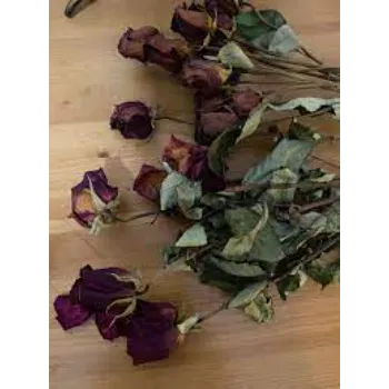 Dry Rose Leaves