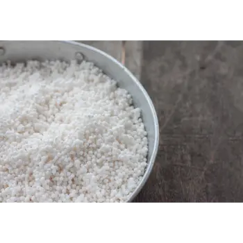 Natural Sabudana