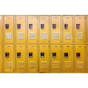  School Locker