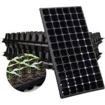 Seedling Trays