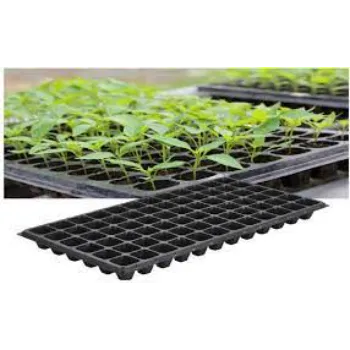 Seedling Trays For Agriculture