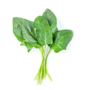 Organic  Spinach