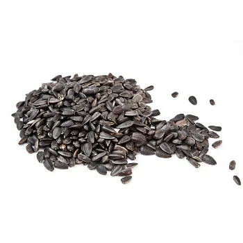 A Grade Sun Flower Seed