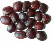 Organic Tamarind Seeds