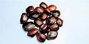 Common Tamarind Seeds