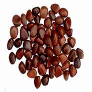 Natural Tamarind Seeds