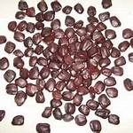 Natural Tamarind Seeds