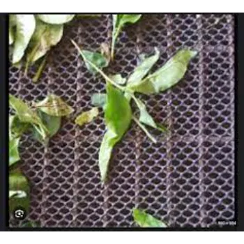  Tea Withering Net