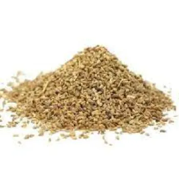 Fresh  Thyme Seeds