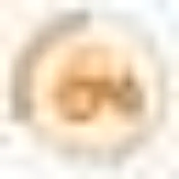 Transplanter Machine