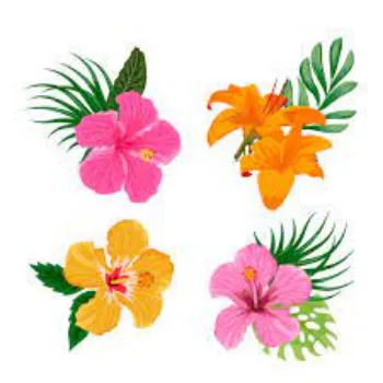 Fresh Tropical Flowers