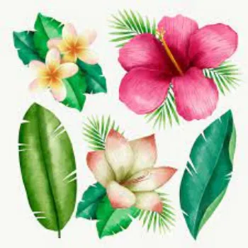 Fresh Tropical Flowers