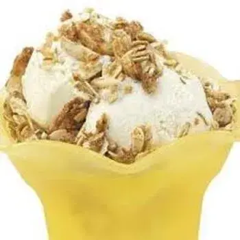 Vanilla Ice Cream