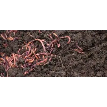vermicompost