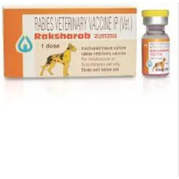 Raksharab Veterinary Vaccine 10 ML
