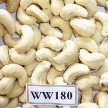 Common W180 Cashew Nuts