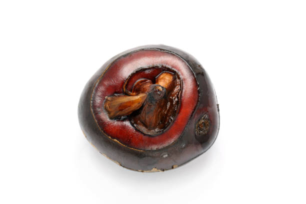 Organic Water Chestnuts