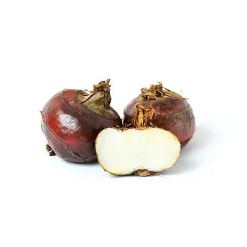 Fresh  Water Chestnuts