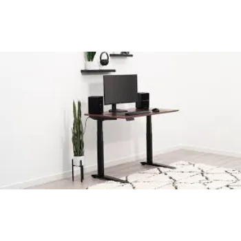 Adjustable Height Workstations
