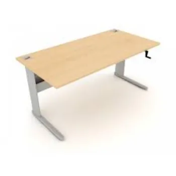 Attractive Designs Adjustable Height Workstations