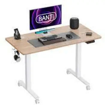 Modern Adjustable Height Workstations