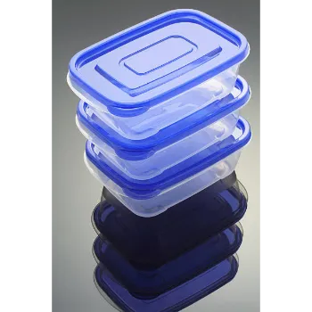 Flash Airtight Lunch Box