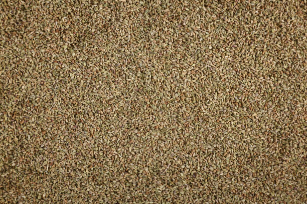 Natural Ajwain