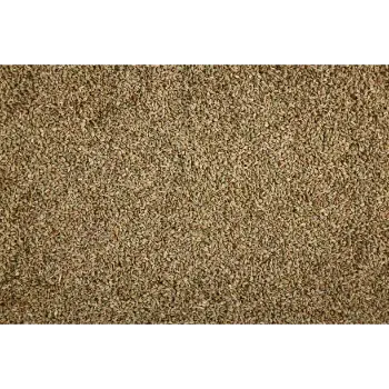  Organic Ajwain