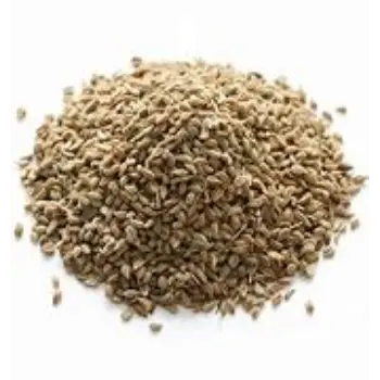 Organic Ajwain