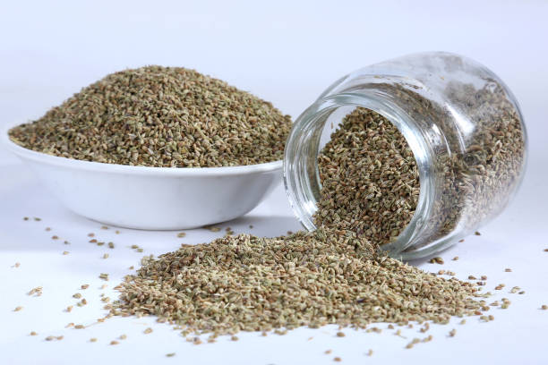 Common Ajwain