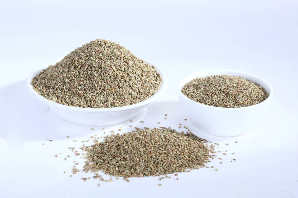 Common Ajwain