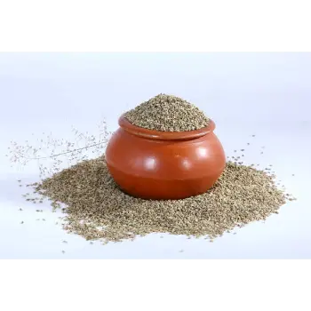 Fresh  Ajwain
